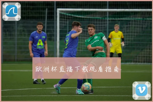 欧洲杯直播下载观看指南